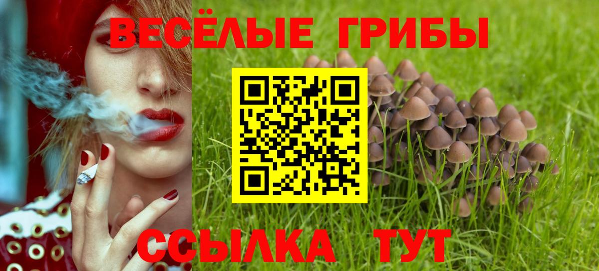 Галлюциногенные грибы Вичуга