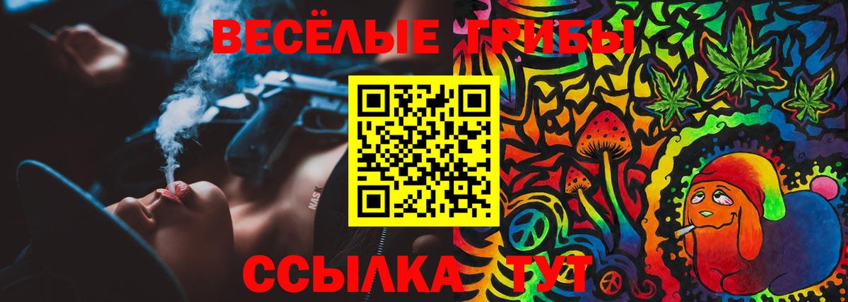 Галлюциногенные грибы MAGIC MUSHROOMS  Псилоцибиновые грибы MAGIC MUSHROOMS  Вичуга  Вход с VPN 